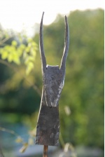 stierkopf 001 - kopie 428x640