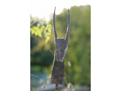 stierkopf 001 - kopie 428x640